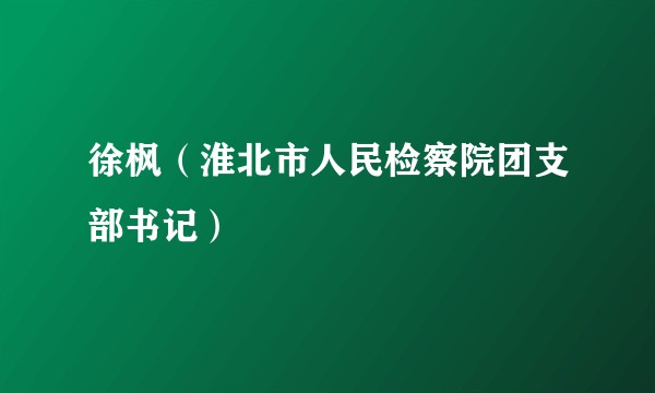 徐枫（淮北市人民检察院团支部书记）