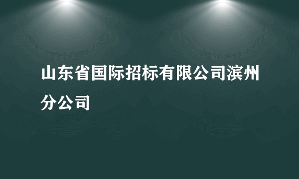 山东省国际招标有限公司滨州分公司