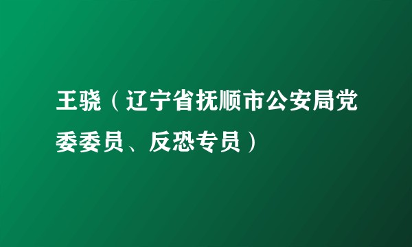 王骁（辽宁省抚顺市公安局党委委员、反恐专员）