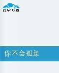 你不会孤单（小说）