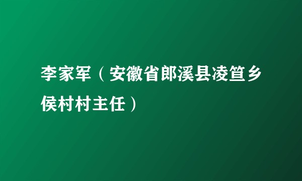 李家军（安徽省郎溪县凌笪乡侯村村主任）
