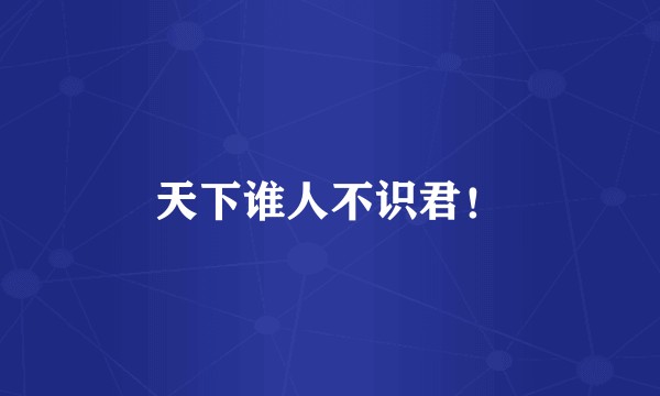 天下谁人不识君！