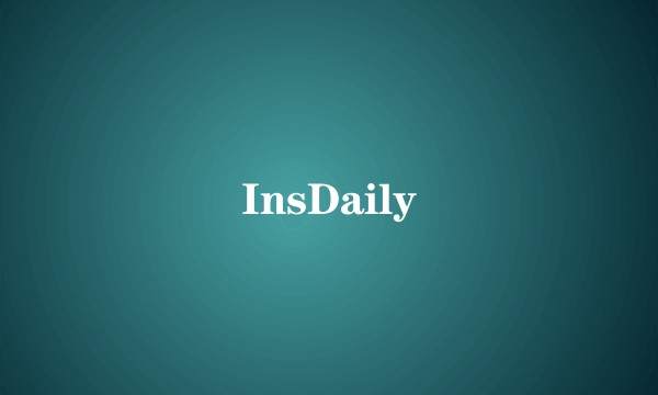 InsDaily