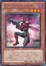甲虫装机豆娘
