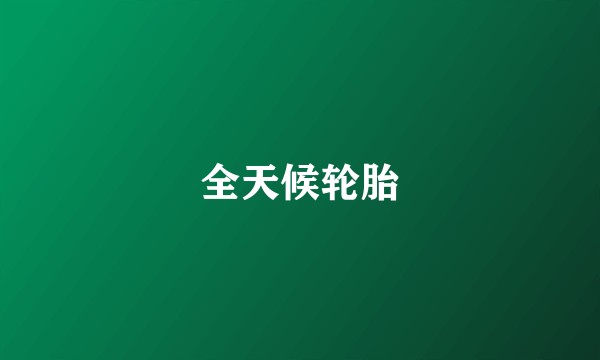 全天候轮胎