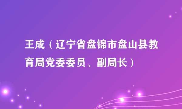 王成（辽宁省盘锦市盘山县教育局党委委员、副局长）