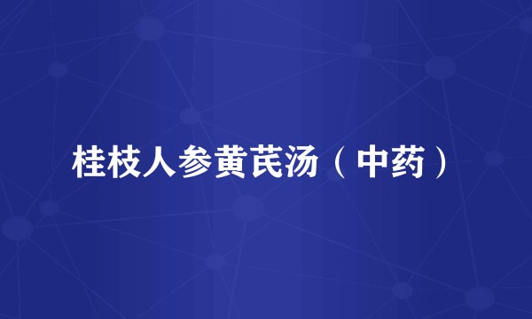 桂枝人参黄芪汤（中药）