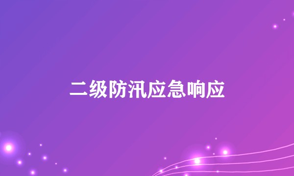 二级防汛应急响应