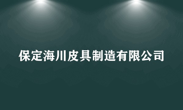 保定海川皮具制造有限公司