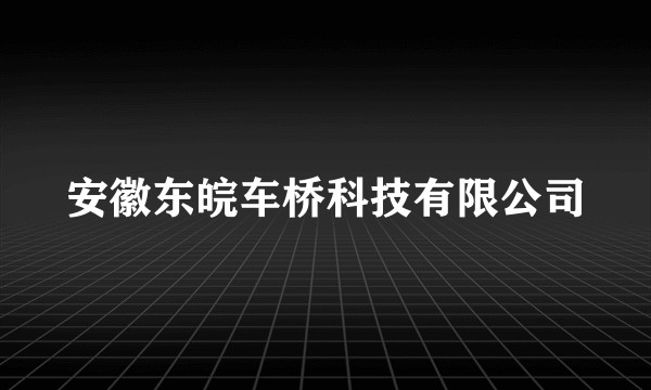 安徽东皖车桥科技有限公司