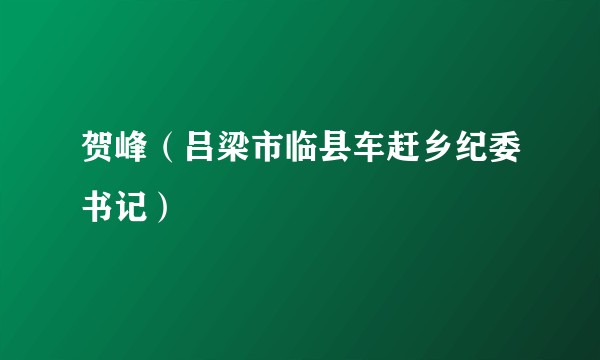 贺峰（吕梁市临县车赶乡纪委书记）