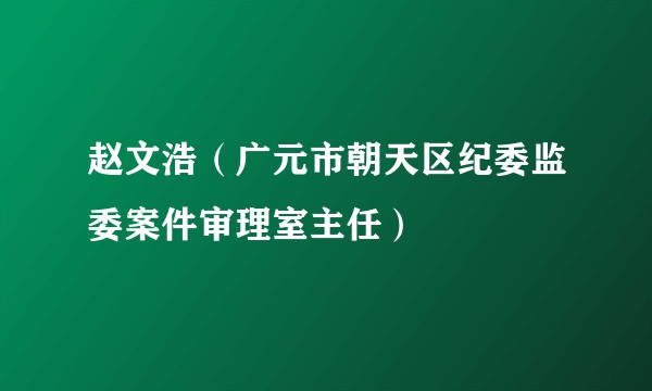 赵文浩（广元市朝天区纪委监委案件审理室主任）