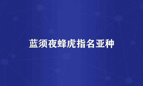 蓝须夜蜂虎指名亚种