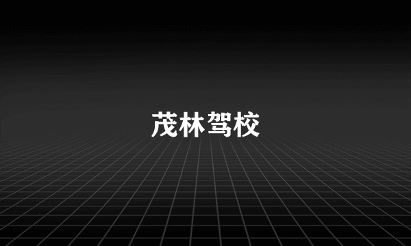 茂林驾校