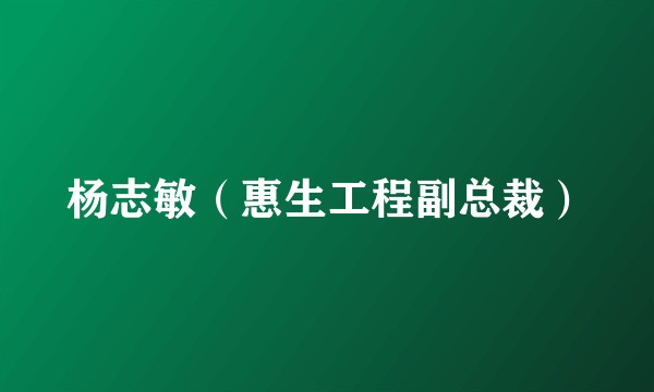 杨志敏（惠生工程副总裁）