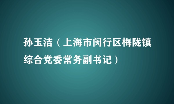 孙玉洁（上海市闵行区梅陇镇综合党委常务副书记）