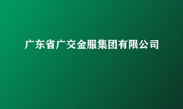 广东省广交金服集团有限公司