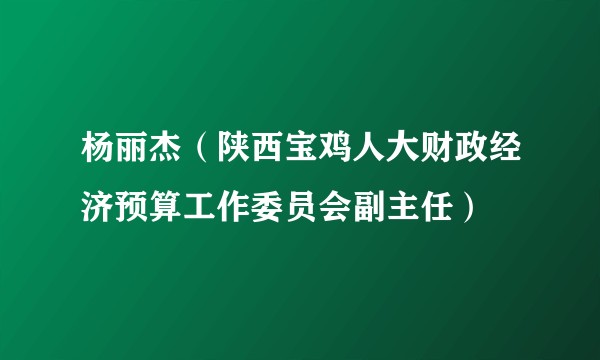 杨丽杰（陕西宝鸡人大财政经济预算工作委员会副主任）