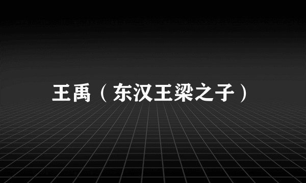 王禹（东汉王梁之子）