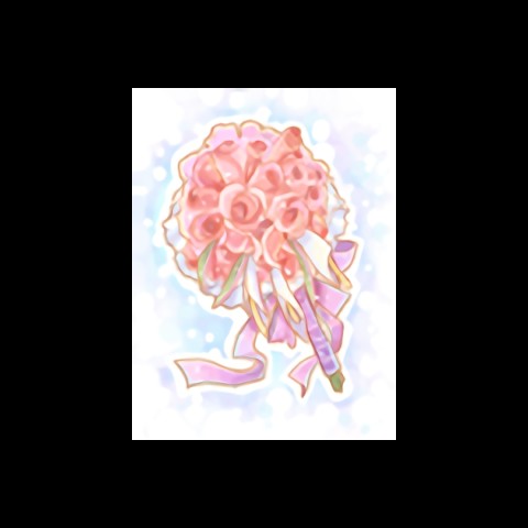 康乃馨花束