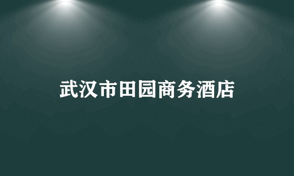 武汉市田园商务酒店