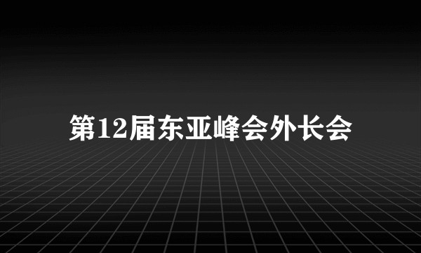 第12届东亚峰会外长会