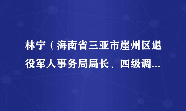 林宁（海南省三亚市崖州区退役军人事务局局长、四级调研员、区拥军优属拥政爱民工作领导小组办公室主任）