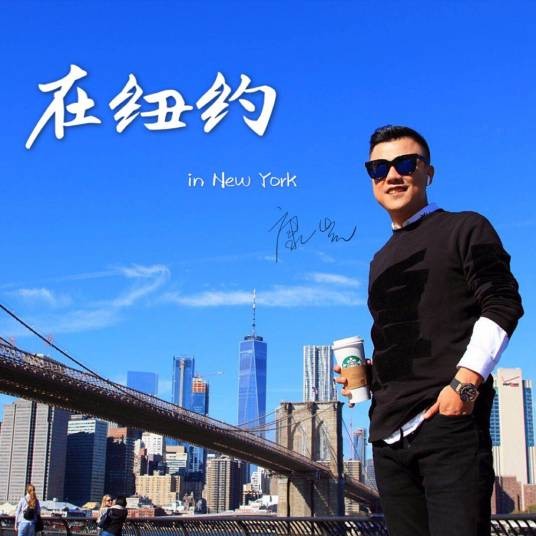 在纽约（康康演唱的歌曲）