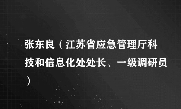 张东良（江苏省应急管理厅科技和信息化处处长、一级调研员）