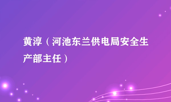 黄淳（河池东兰供电局安全生产部主任）