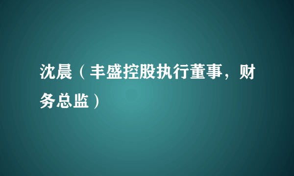 沈晨（丰盛控股执行董事，财务总监）