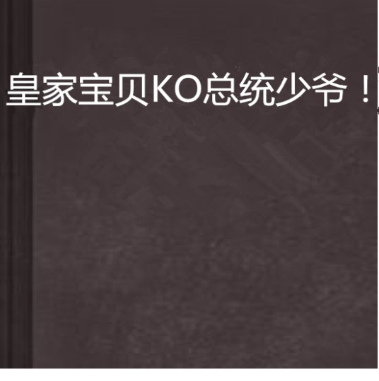 皇家宝贝KO总统少爷！