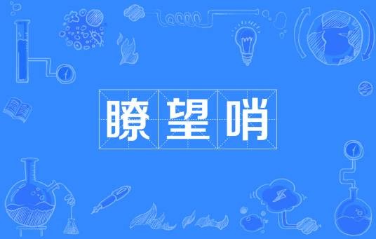 瞭望哨