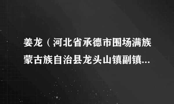 姜龙（河北省承德市围场满族蒙古族自治县龙头山镇副镇长、派出所所长）