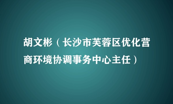 胡文彬（长沙市芙蓉区优化营商环境协调事务中心主任）