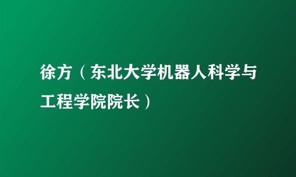 徐方（东北大学机器人科学与工程学院院长）