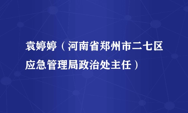 袁婷婷（河南省郑州市二七区应急管理局政治处主任）