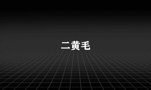 二黄毛
