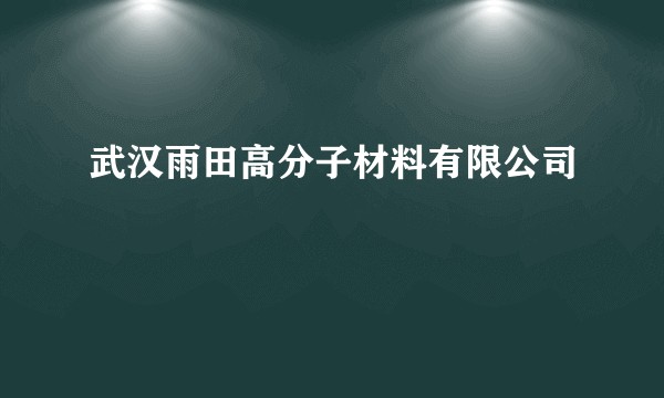 武汉雨田高分子材料有限公司