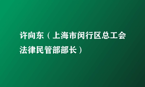 许向东（上海市闵行区总工会法律民管部部长）