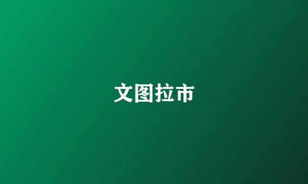 文图拉市