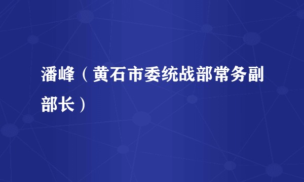 潘峰（黄石市委统战部常务副部长）
