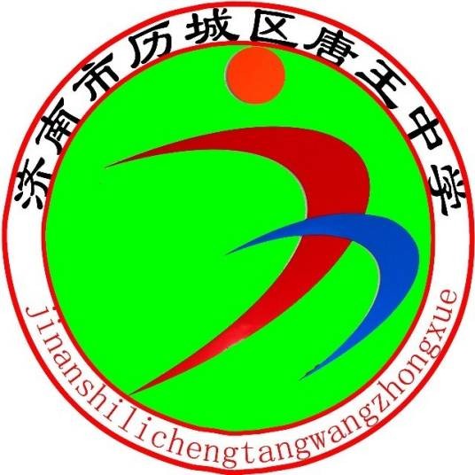 济南市历城区唐王中学