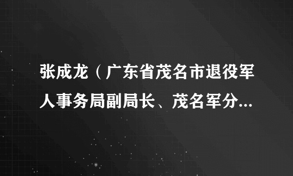 张成龙（广东省茂名市退役军人事务局副局长、茂名军分区政治工作处主任）