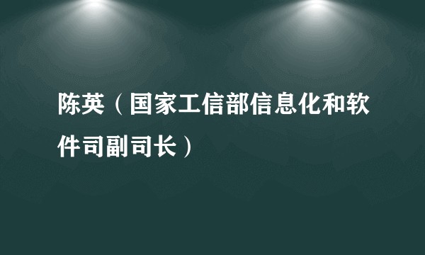 陈英（国家工信部信息化和软件司副司长）