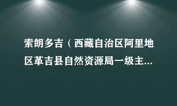 索朗多吉（西藏自治区阿里地区革吉县自然资源局一级主任科员）