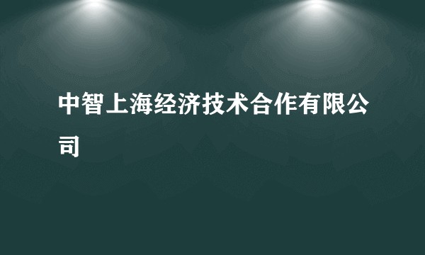中智上海经济技术合作有限公司