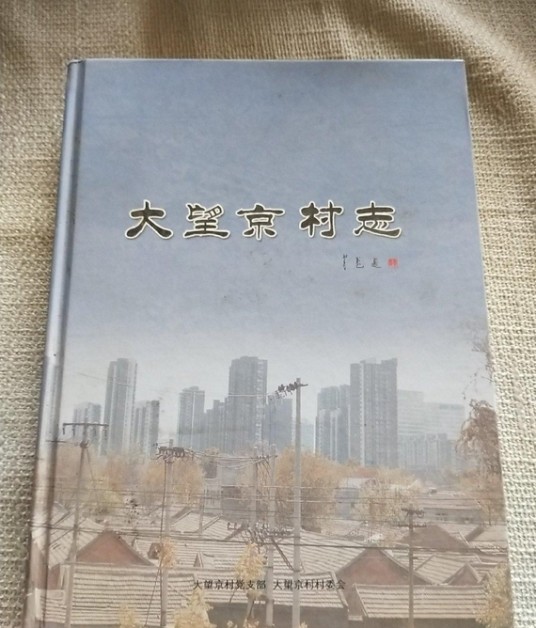大望京村志
