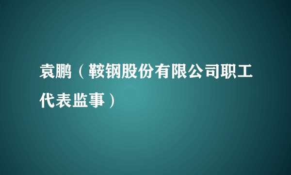 袁鹏(鞍钢股份有限公司职工代表监事)