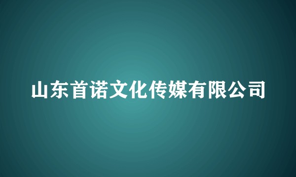 山东首诺文化传媒有限公司